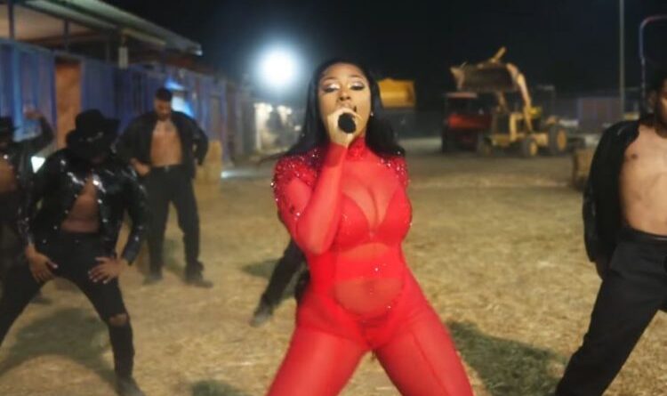 Megan Thee Stallion Performs for Apple Music Awards 2020: Watch
