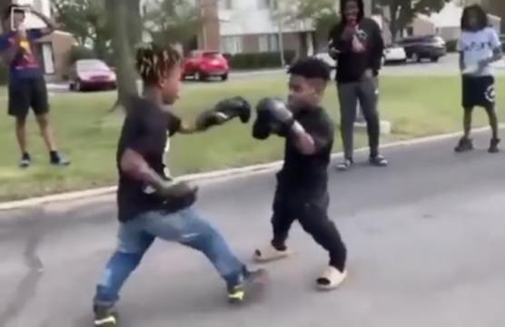 2 Dwarfs Boxing In The Middle Of The Street